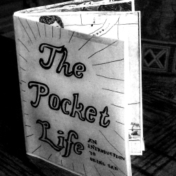 pocket life